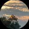 まこと's profile picture