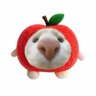 aowen's profile picture