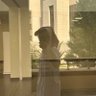 Фото профиля ناصر