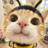 Profilbild von ⓝⓘⓝⓘ🐝