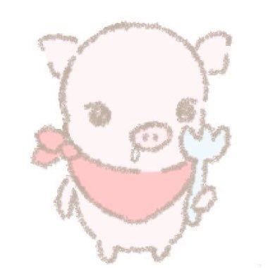 momo。's profile picture