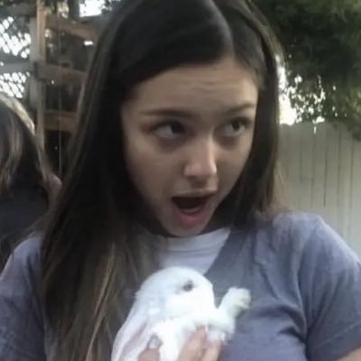 bebelws's profile picture
