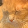 ajax 🌈's profile picture