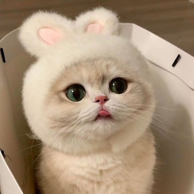 ren's profile picture