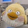 Profilbild von 風呂ダック