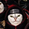 ㄥᎧꀘꀤ profil fotoğrafı