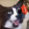 setyaa's profile picture
