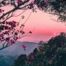 Lokesh profil fotoğrafı