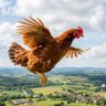 Profilbild von 空飛ぶニワトリ🐔