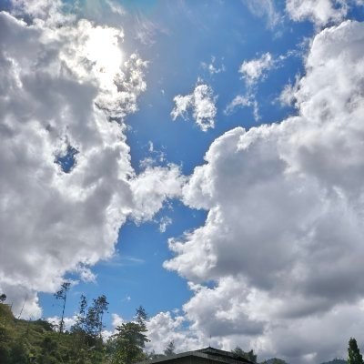 M A R I M A S's profile picture