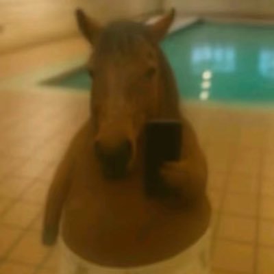 anfeww2's profile picture