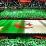 أحمد مالك فتحي 🇩🇿🇩🇿🇩🇿 profil fotoğrafı