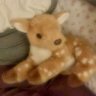 𓂃♡Jlyz |🍵᠂ 𓏲࣪🦌✨🪁 profil fotoğrafı