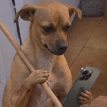 Buddy PP's profile picture
