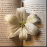 Фото профиля "مـريـم🦋".