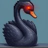 Black Swan Trades 🛡️ 的头像