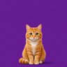 Uio profil fotoğrafı