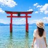 青燃🌸Marni profil fotoğrafı