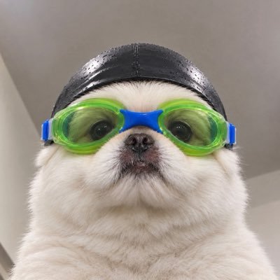 RAMOONYOURS_'s profile picture