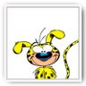 Marsupilami's profile picture