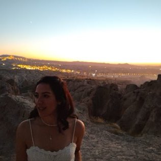 Dilan Kutlu's profile picture