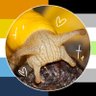 AnaBananaSlug🍌 profil fotoğrafı
