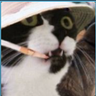 Сам собі не знаю хто's profile picture