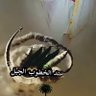 Фото профиля ابوعبدالله الشمالي