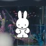 Profilbild von 入信