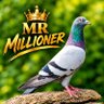 Profilbild von Mr Millioner