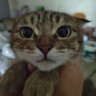 千寻's profile picture