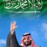 Profilbild von 💚 مـحـمـد🇸🇦