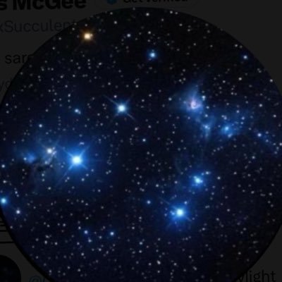 A Succulent Chinese Meal's profile picture