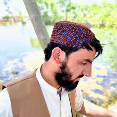 M_Sani_313's profile picture
