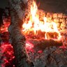 kings fire profil fotoğrafı