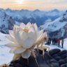 Mantis_Lotus profil fotoğrafı