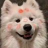 Profilbild von 七七在成长