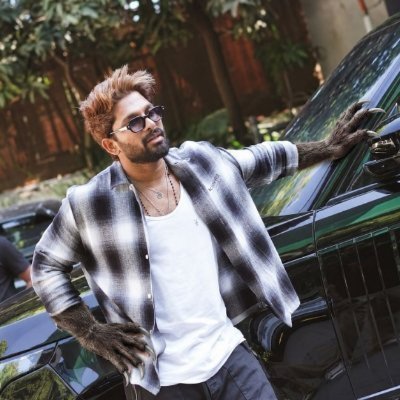bunnycultshashi's profile picture