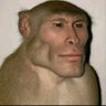 Profilbild von Lost