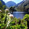 Visit Rwenzori 的头像