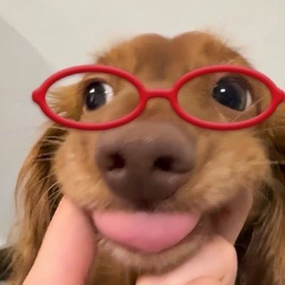 jajaii's profile picture