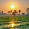 Mainak Ganguuly's profile picture