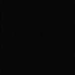X's profile picture