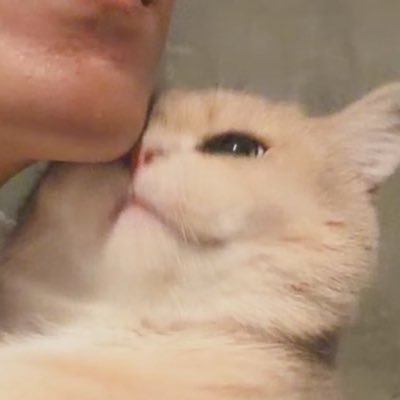 Evelyn_DR777's profile picture