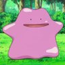 metamong.world's profile picture