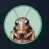 Profilbild von Seyfullah