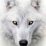 LE PRÉCIEUX's profile picture