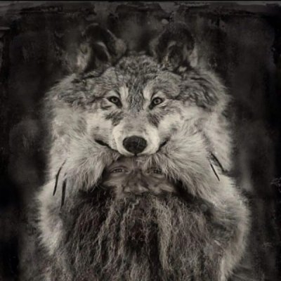 faisslmeas's profile picture