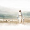 Disciple 的头像