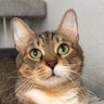 Profilbild von CatMay